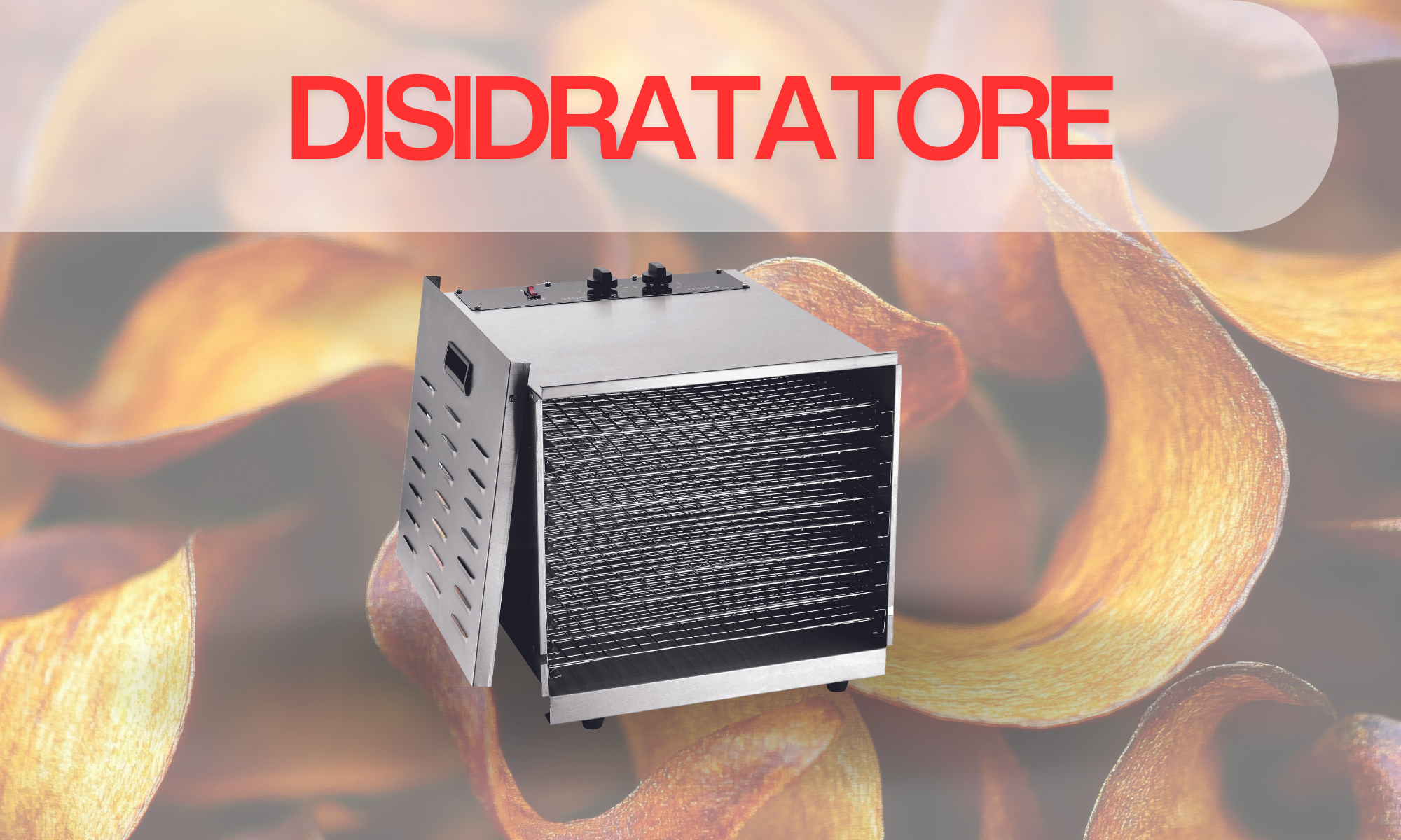DISIDRATATORE/ESSICATORE